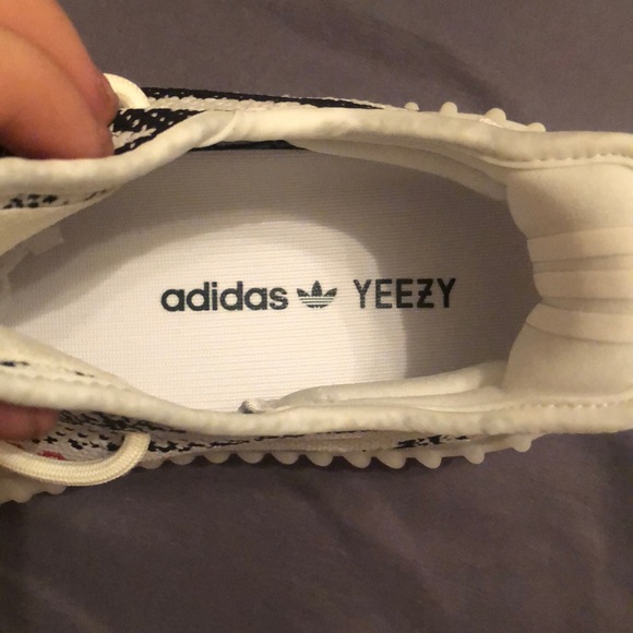 Zebra yeezy main image 6